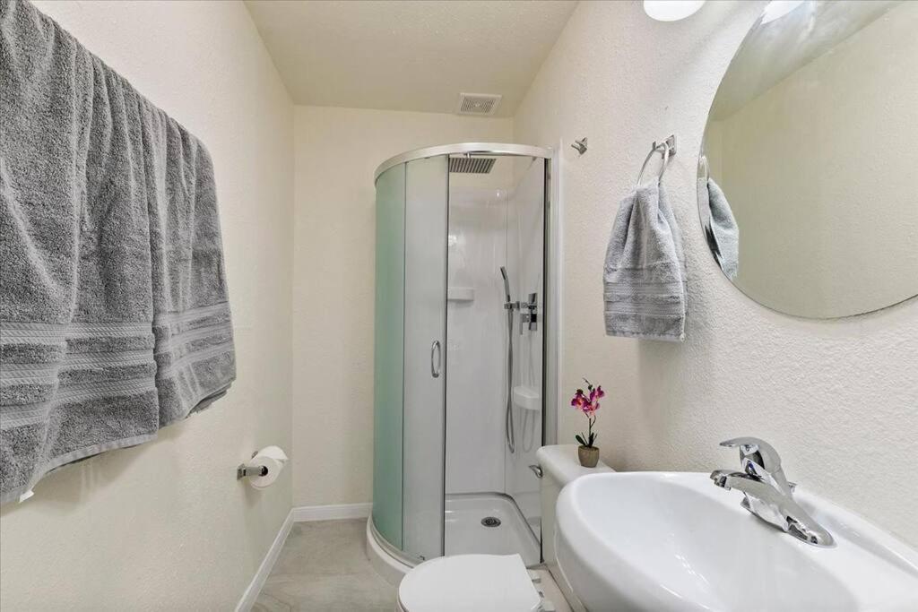 Lucky House - Tranquility In The Middle Of Houston - Tv In Every Room - 300 M2 Dış mekan fotoğraf